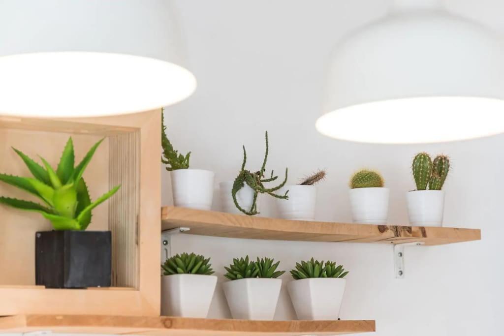 Inlapa Studio VI Porto Garden Экстерьер фото